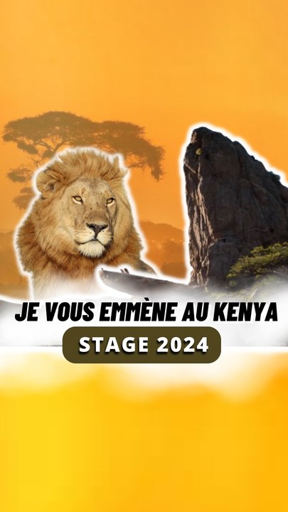 Le rocher du Roi Lion dans la vie réel