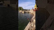 Cane caduto in Arno, l'intervento dei vigili del fuoco