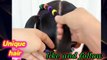 Kids hair style for pony | latest ponytail baby girls | touseef6461648