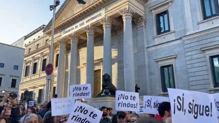 Manifestación en apoyo a Pedro Sánchez en Madrid.