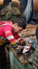 Expert Kid #trending #viral #foryou #reels #beautiful #love #funny #delicious #fun #love #yummy #tiktok #facebook #reel #status #whatsapp #trend