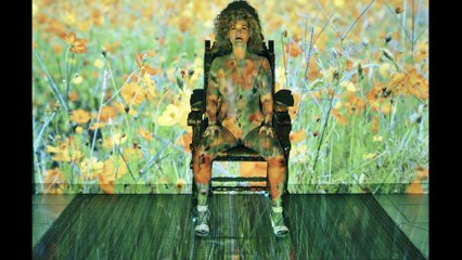 PHOTO ART PROJECTion 9 - Flower  (UHD)