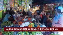Harga Bawang Merah di Sinjai Sulsel Melonjak hingga Rp70 Ribu per Kilogram