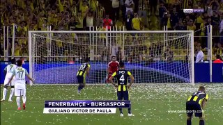 Süper Lig'de 2018-19 Sezonu  Golleri  Fenerbahçe