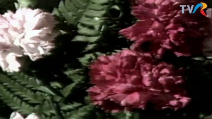 Maria Apostol - Plaiul nostru romanesc (arhiva TVR)