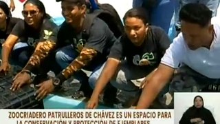 Zoocriadero “El Patrullero de Chávez” liberó 20 mil  tortuguillos Arrau en el estado Apure