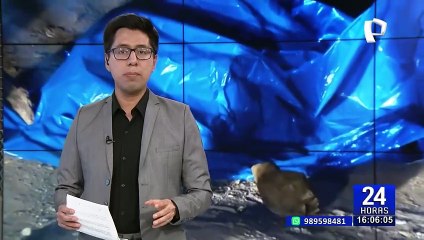 Llevan a jóvenes a una zona descampada y los matan a balazos en VMT