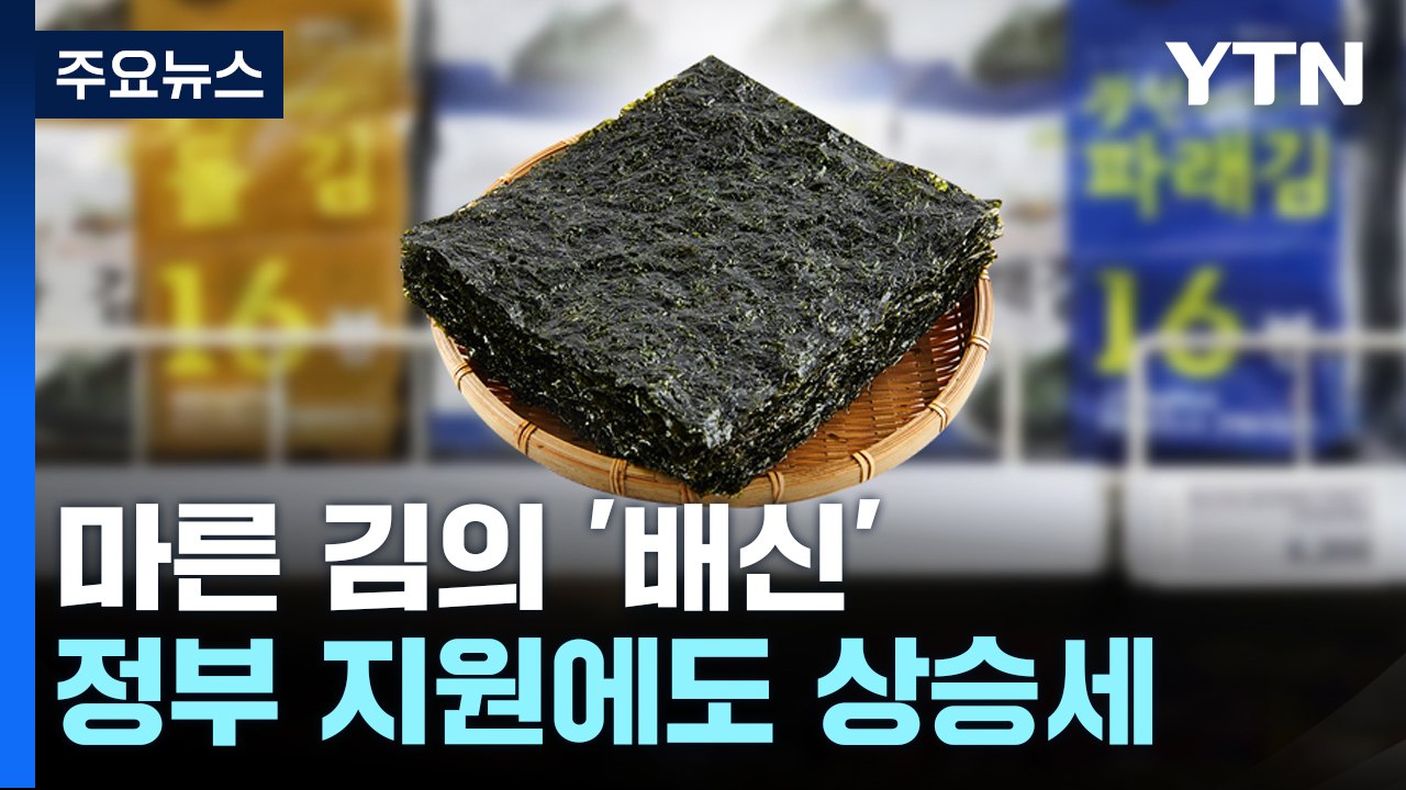 마른 김의 '배신'...정부 지원에도 상승세 [앵커리포트] / YTN