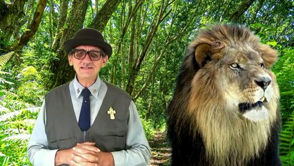 HOROSCOPO DO PIMPÃO Nº 11 - 2ª PARTE - SÉRIE VELHO PALHAÇO.