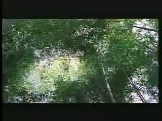 One Fine Spring Day Bande-annonce (EN)