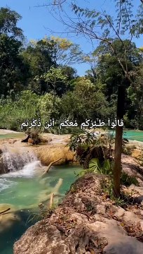 Surah Ya-Sin Ayahs 83 Revelation Place Mecca Name The Surah takes its name from the two letters of the alphabet with which it begins. Period of Revelation A study of the style shows that it was either sent down during the last stage of the middle Mak