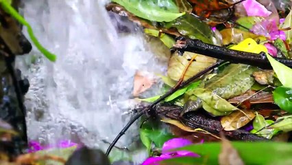 ¿Por qué es importante conservarlos suelos? | Conexión Milenio