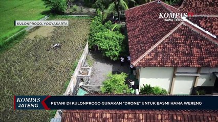 Petani di Kulon Progo Gunakan Drone untuk Basmi Hama Wereng