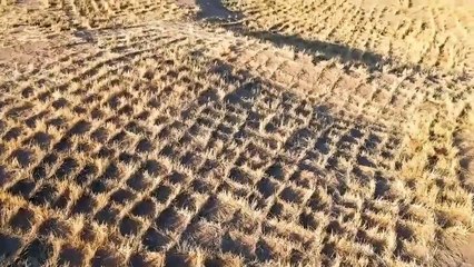 Megaprojects Turn Barren Land (Desert) Into Productive Land, China's surprise to the world