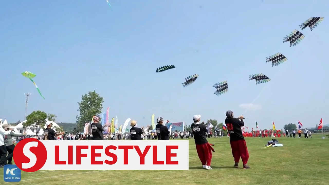 Professional kite pilots compete in central China grasslands