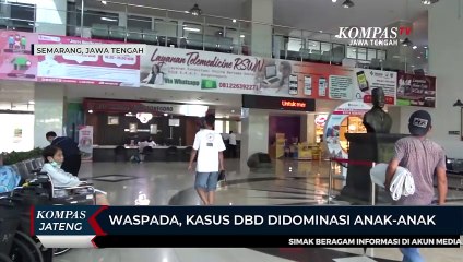 Waspada, Kasus DBD Didominasi Anak-anak