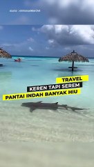 Keren Tapi Serem Pantai Indah Banyak Hiu