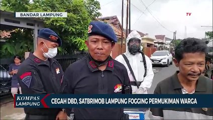 Download Video: Cegah DBD, Satbrimob Lampung Fogging Permukiman Warga