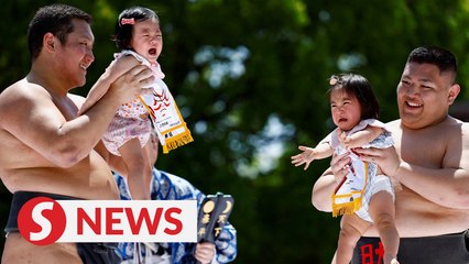 100 crying babies face off at annual sumo festival