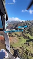 Detik-detik Helicopter Mengalami Rusak Mesin dan Terjatuh ke Daratan