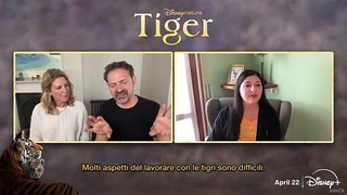Tiger, intervista ai registi del documentario Disney sulle tigri