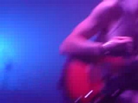 BB Brunes amalgame seul ou acompagné