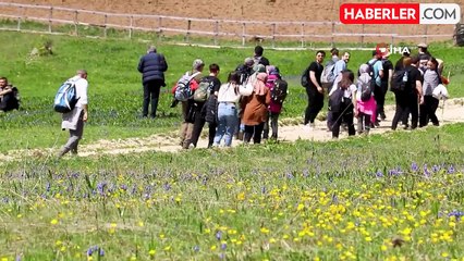 Gümüşhane'de doğa yürüyüşü: Mavi sümbüller arasında keyifli bahar kaçamağı
