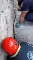 İtfaiye ekipleri sıkışan sincabı kurtardı