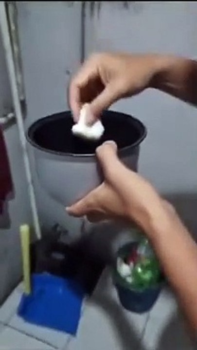 Voilà comment troller des rats... bien joué