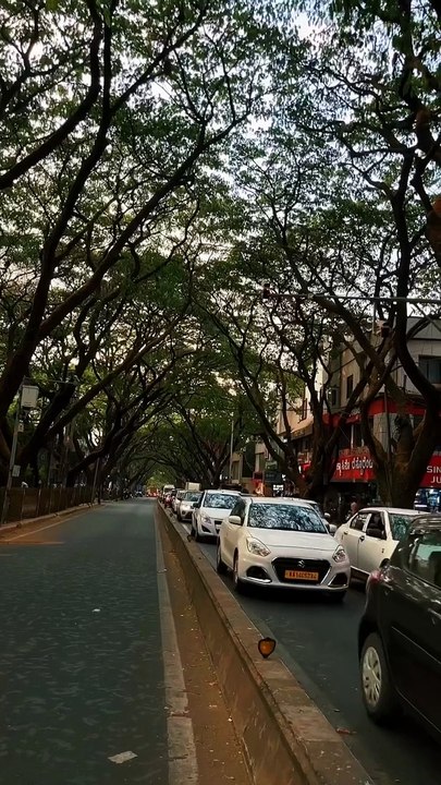 Beauty of Bengaluru | AeronFly | Make Your Safar Suhana