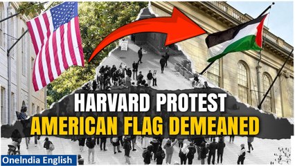 Harvard Student Protestors Fly Palestinian Flag Over American Flag Spot, Netizens Fume|Oneindia News