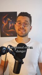 Les saïgas bientôt disparus ..