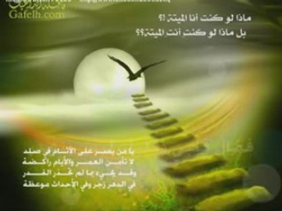 دمعة تائبة,عودي الى الله يا أختاه