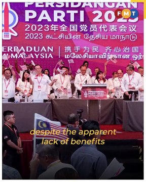 Why remain loyal to Anwar, Zaid asks ‘marginalised’ Indians