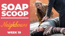Neighbours Soap Scoop! Haz fights for his life