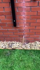 Watch as water flows into residents garden from retaining wall