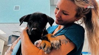 Va a sacrificar a su perro: el veterinario tiene otros planes para él (Vídeo)