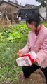 Hilarious Chinese Comedy: Laughter Guaranteed