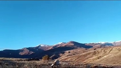 Eşsiz manzarasıyla ARTOS dağı ve VAN GÖLÜ