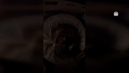 Tekerleğin içine sıkışan kedi yavrularını itfaiye kurtardı