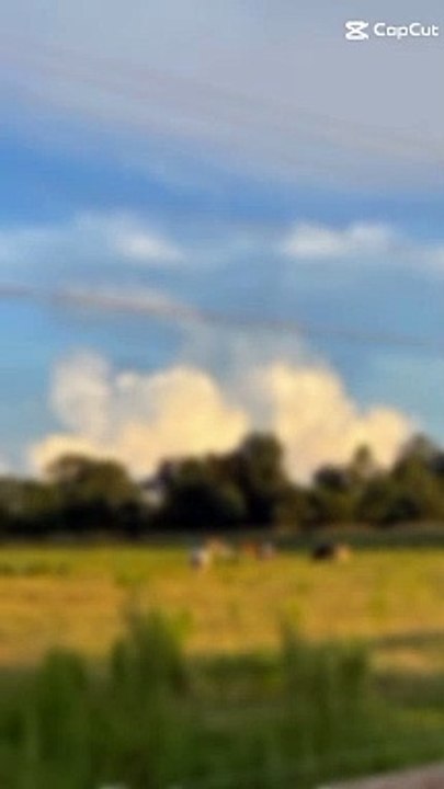 WhatsApp Video 2024-04-29 at 3.14.56 PM