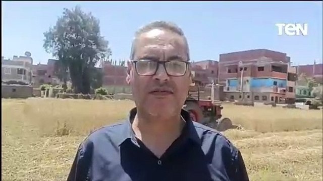 الذهب الأصفر.. موسم حصاد وتوريد محصول القمح بالشرقية