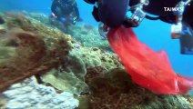 Divers Clean the Ocean of Trash off Southern Taiwan's Coral Reefs