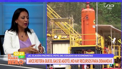 Presidenta de economistas de Santa Cruz plantea medidas económicas estructurales