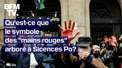 Proche-Orient: que signifie le symbole des "mains rouges" arboré par certains militants propalestiniens?