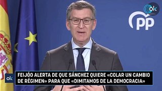 Feijóo alerta de que Sánchez quiere «colar un cambio de régimen» para que «dimitamos de la democracia»