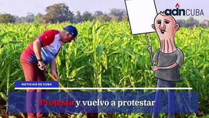 Noticias más leídas en ADN Cuba hoy Abril 29