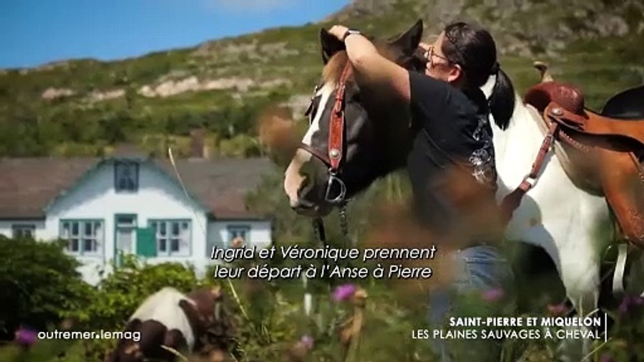 Saint-Pierre et Miquelon - Les plaines sauvages à cheval