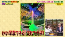 世界まる見え！テレビ特捜部 危険な旅SP!ガボン大木を運ぶ650kmの旅!南米空港税関シリーズ