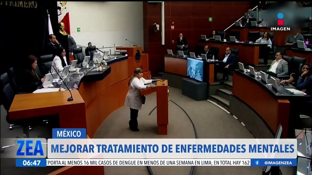 Senadora pide mejorar el tratamiento de enfermedades mentales en México